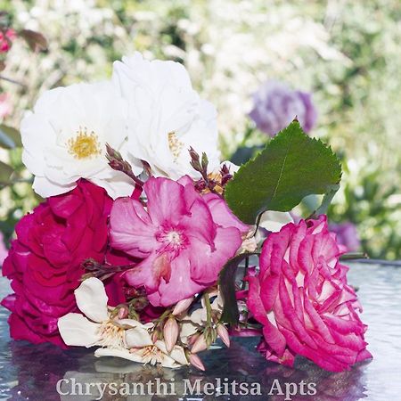 Chrysanthi Melitsa Apts. Сидари Екстериор снимка