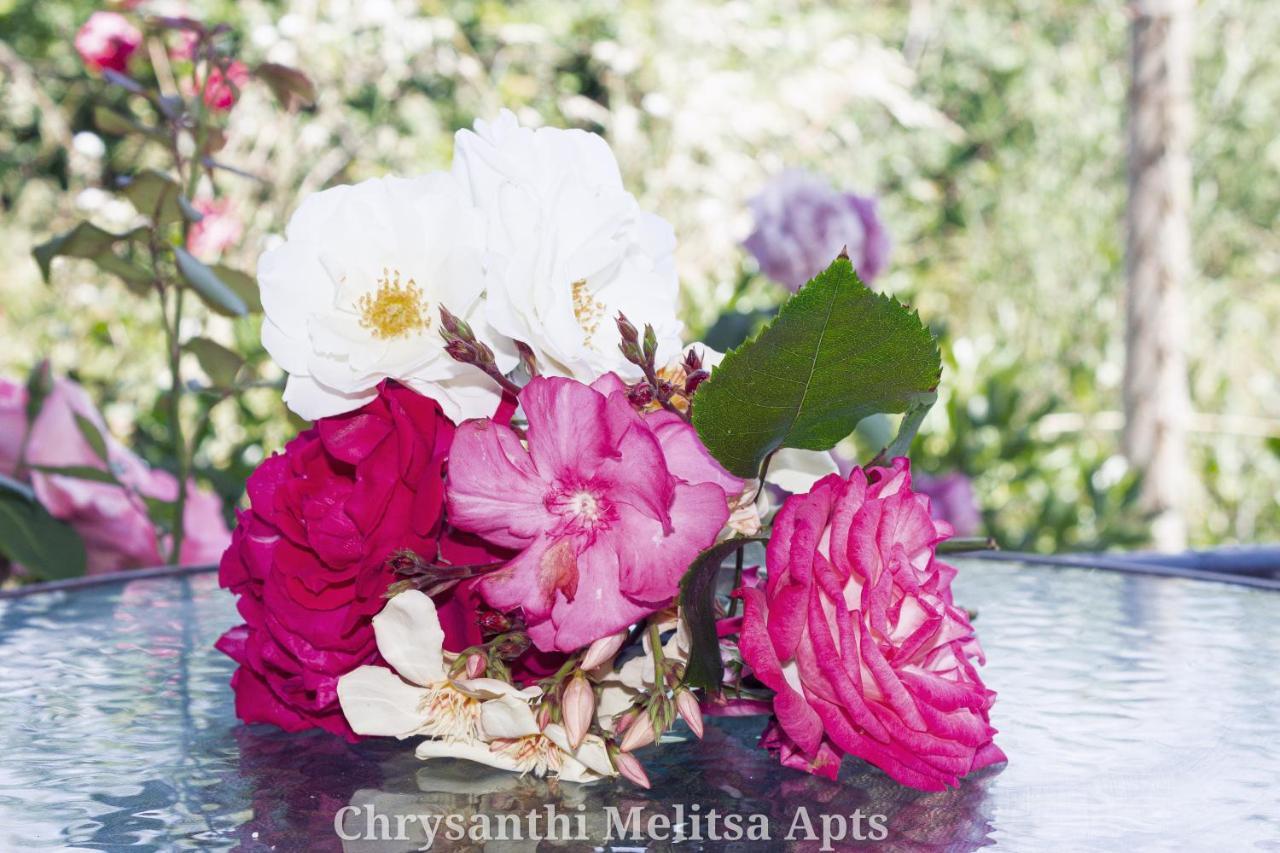 Chrysanthi Melitsa Apts. Сидари Екстериор снимка